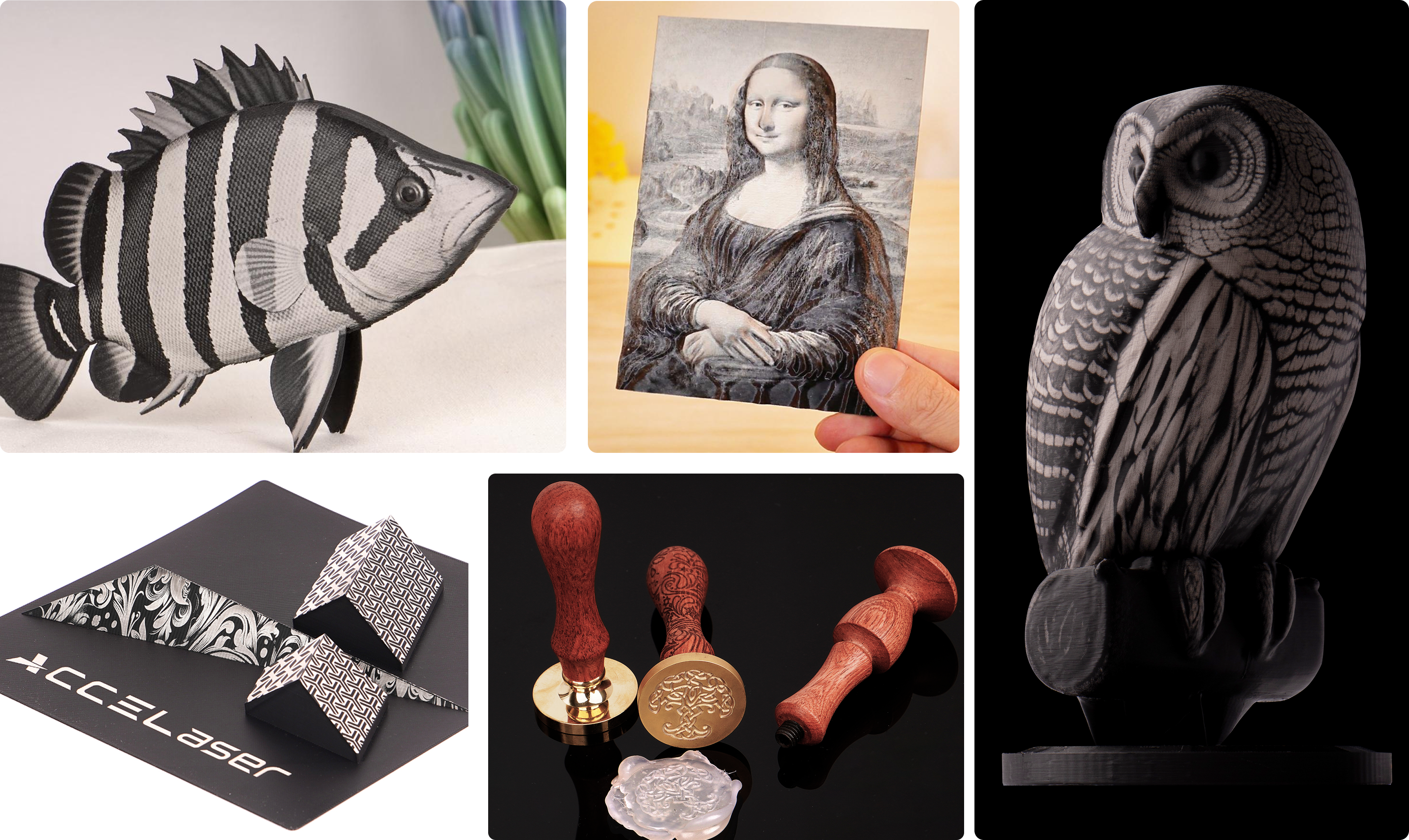 Master Different Shapes